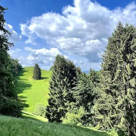 Am Hang Mit Malerischer Aussicht *