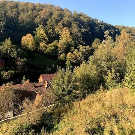 Am Hang Mit Malerischer Aussicht Apartment